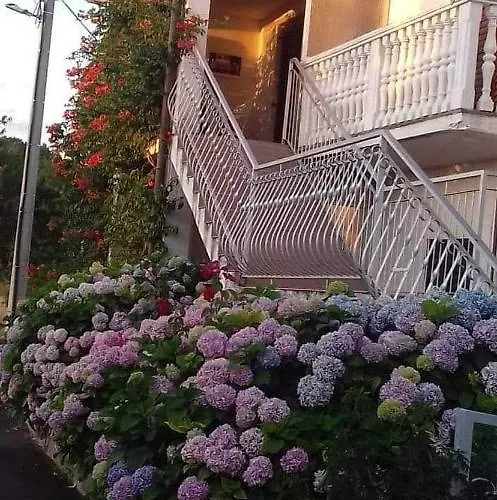 14681a Сукошан