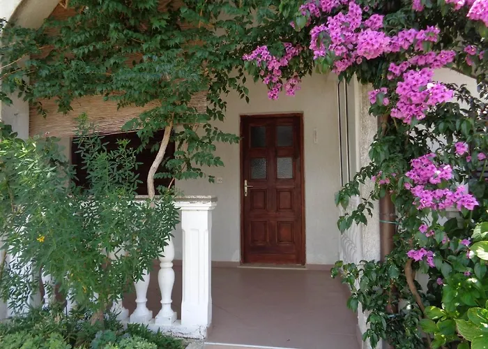 14681a * Сукошан